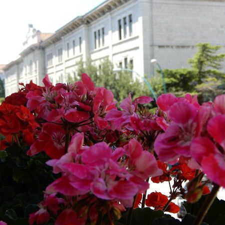 Luciano And Son Bed and Breakfast Campobasso Buitenkant foto