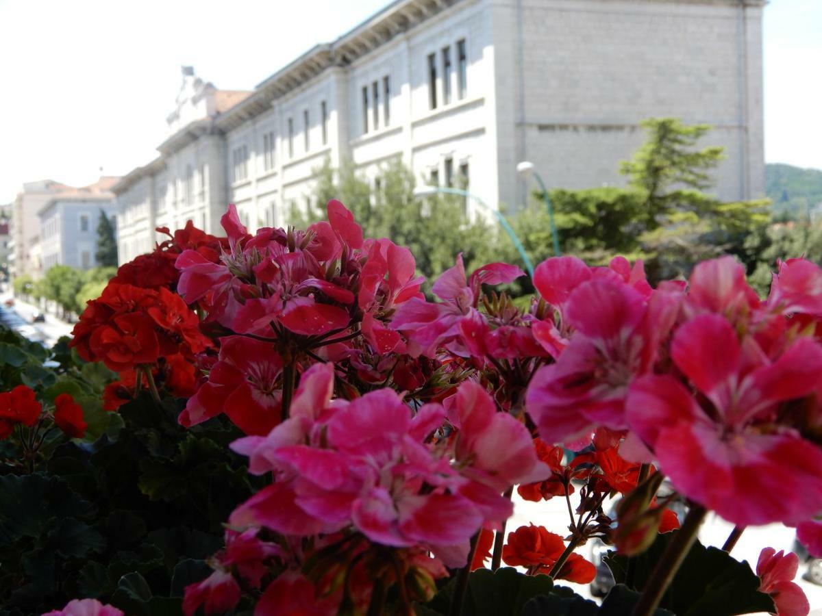 Luciano And Son Bed and Breakfast Campobasso Buitenkant foto